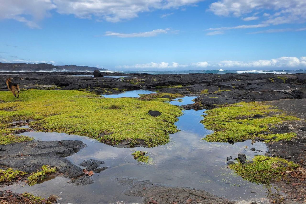 The Aloha Green House Retreat With Ocean Views! Naalehu Eksteriør bilde