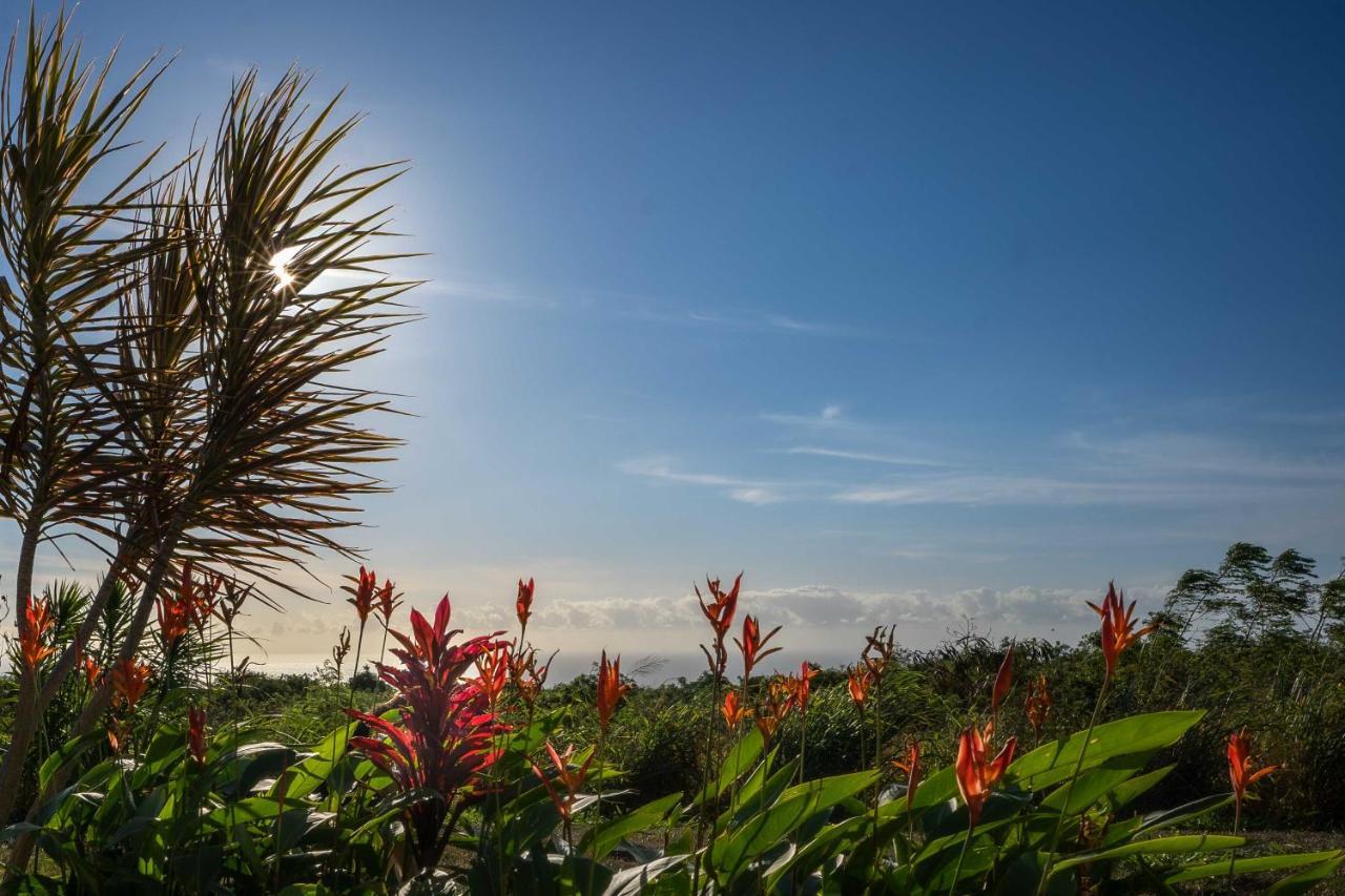 The Aloha Green House Retreat With Ocean Views! Naalehu Eksteriør bilde